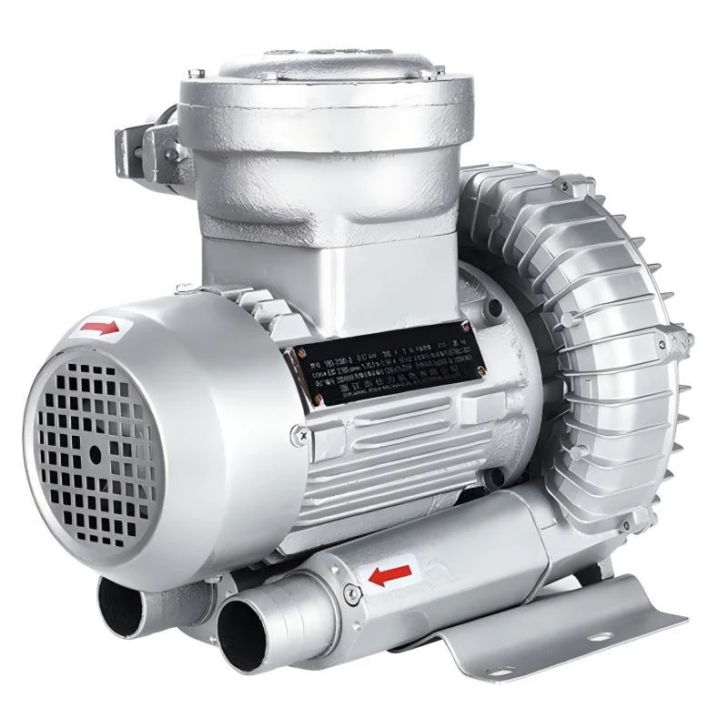 220V High Pressure Ex Proof Vortex Fan high quality